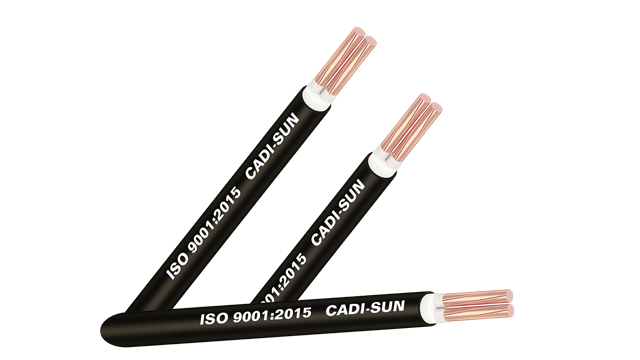 Dây cáp điện CXV/YJV/CV-Cu/XLPE/PVC 2x