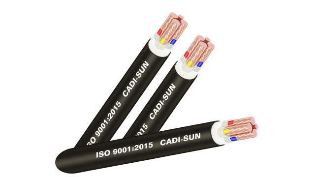 Dây cáp điện CXV/YJV/CV-Cu/XLPE/PVC 3x +1x