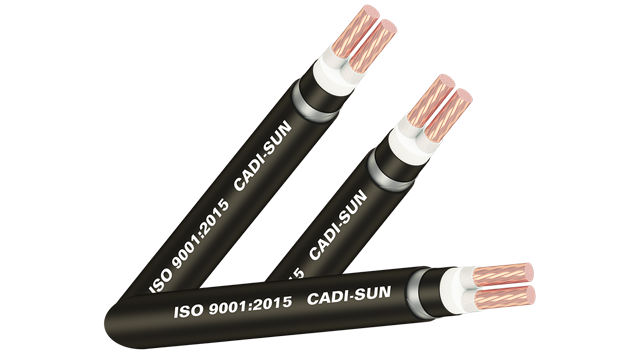 Cáp ngầm hạ thế DSTA/CVTAV/YJV22- Cu/XLPE/PVC/DSTA/PVC 2x