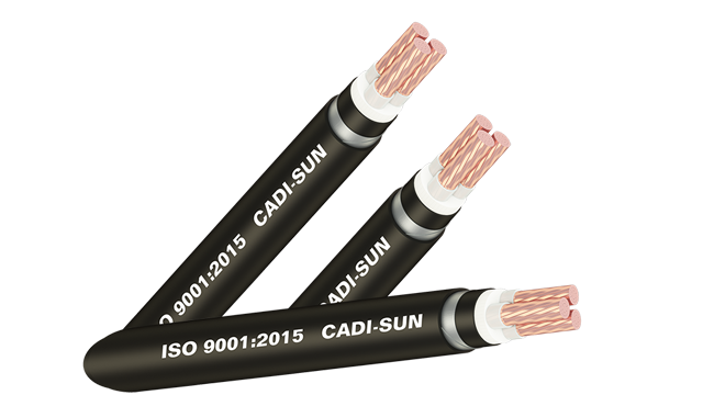 Cáp ngầm hạ thế DSTA/CVTAV/YJV22- Cu/XLPE/PVC/DSTA/PVC 3x