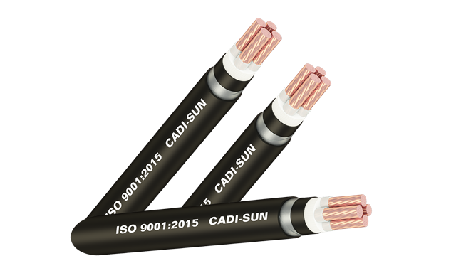 Cáp ngầm hạ thế DSTA/CVTAV/YJV22- Cu/XLPE/PVC/DSTA/PVC 4x