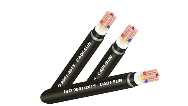 Cáp ngầm hạ thế DSTA/CVTAV/YJV22-Cu/XLPE/PVC/DSTA/PVC 3x+1x