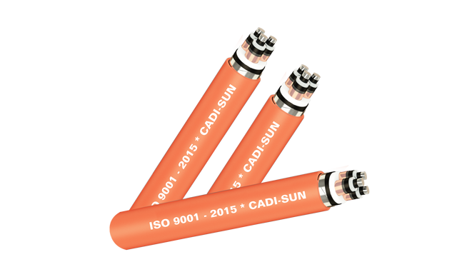 Cáp ngầm trung thế 22/24kV CXV/DSTA/CTS-W 3x