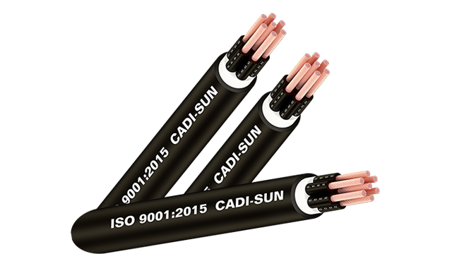 Cáp điều khiển CVV/DVV/RVV-Cu/PVC/PVC