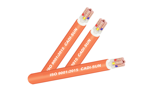 Cáp chống cháy CXV/Fr-Cu/Mica/XLPE/Fr-PVC 3x + 1x